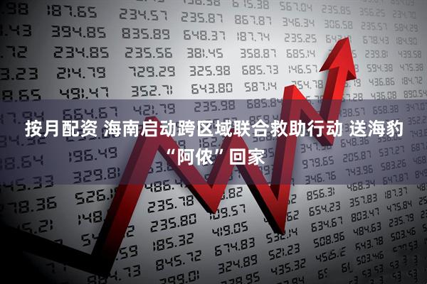 按月配资 海南启动跨区域联合救助行动&#32;送海豹“阿侬”回家