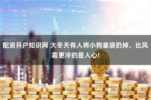 配资开户知识网 大冬天有人将小狗塞袋扔掉，比风霜更冷的是人心!