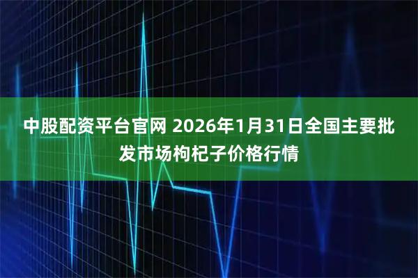 中股配资平台官网 2026年1月31日全国主要批发市场枸杞子价格行情