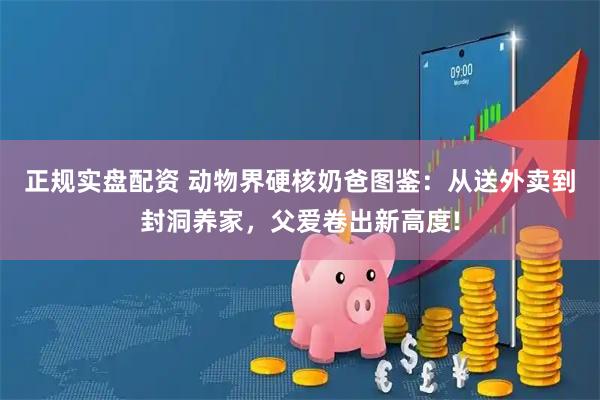 正规实盘配资 动物界硬核奶爸图鉴：从送外卖到封洞养家，父爱卷出新高度!