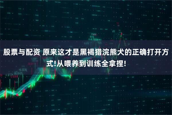 股票与配资 原来这才是黑褐猎浣熊犬的正确打开方式!从喂养到训练全拿捏!
