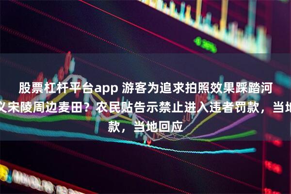 股票杠杆平台app 游客为追求拍照效果踩踏河南巩义宋陵周边麦田？农民贴告示禁止进入违者罚款，当地回应
