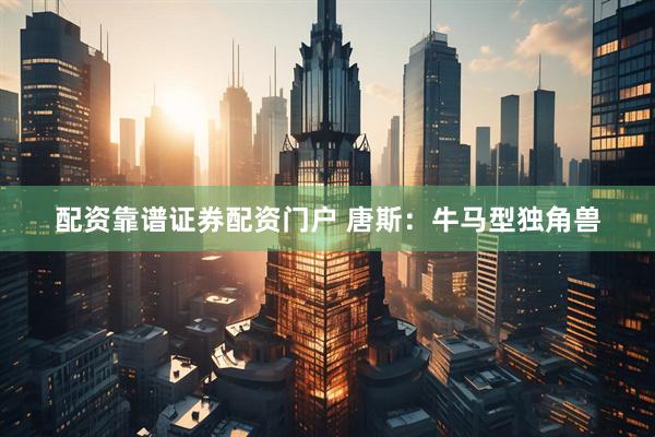 配资靠谱证券配资门户 唐斯：牛马型独角兽