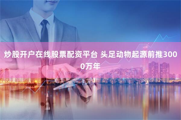 炒股开户在线股票配资平台 头足动物起源前推3000万年